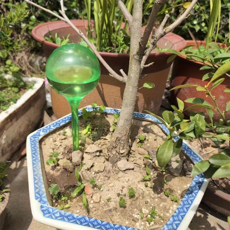 6 قطع من كرات الري الذاتي للنب - مراجعة Smart Garden Project وسعره