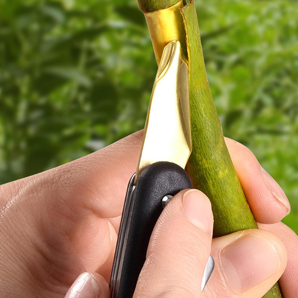 آلة تطعيم الفواكه والخضروات، أ - مراجعة Smart Garden Edging وسعره