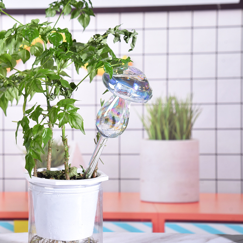 1/2 قطعة القش الزجاجي التلقائي - مراجعة Smart Garden Project وسعره